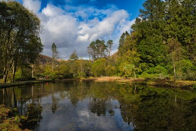 Craig-y-Nos Country Park