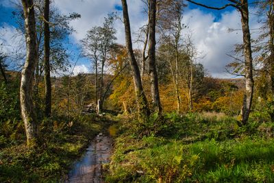 Craig-y-Nos Country Park