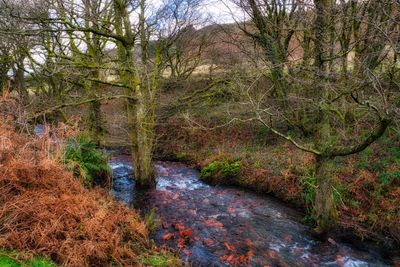 Dare Valley Country Park. A history of coal mining.
