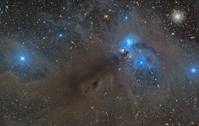 The Corona Australis molecular cloud
