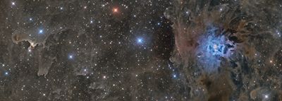 NGC7023 and vdB 141 - Iris Nebula and Ghost Nebula in Cepheus