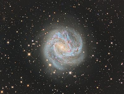 M83 in Hydra