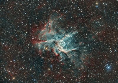NGC 2359 (Thor's Helmet) in Canis Major