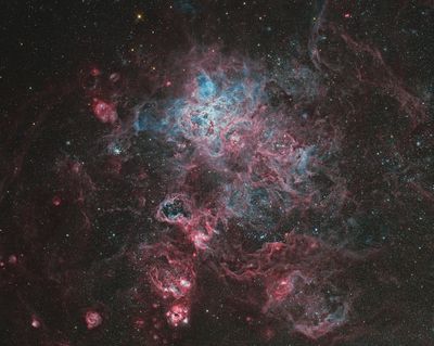 The Tarantula nebula and neighbours in the Large Magellanic Cloud