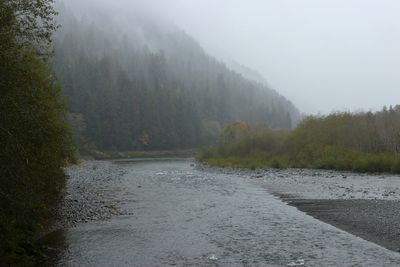 Qinault River 