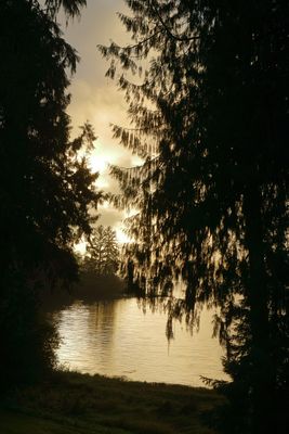 Lake Quinault