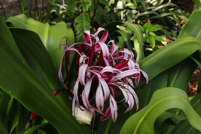 Botanical Garden