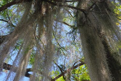 Botanical Garden