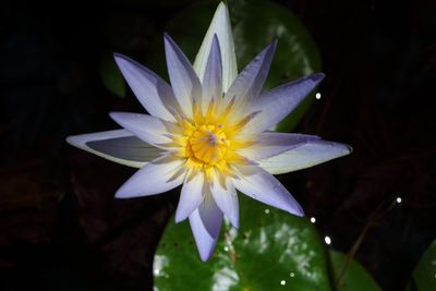 Botanical Garden