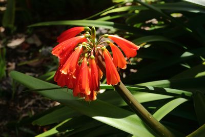 Botanical Garden