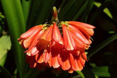 Botanical Garden