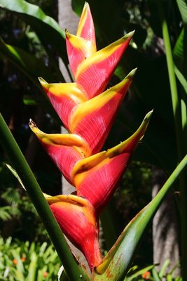 Botanical Garden