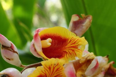 Botanical Garden