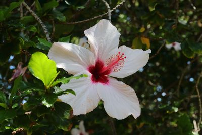 Botanical Garden