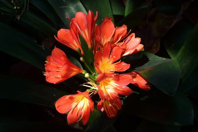 Botanical Garden