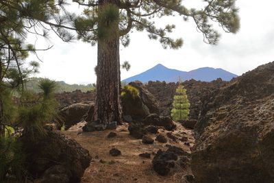 On the trail around the Montaa de Los Poleos