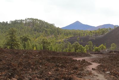 On the trail around the Montaa de Los Poleos