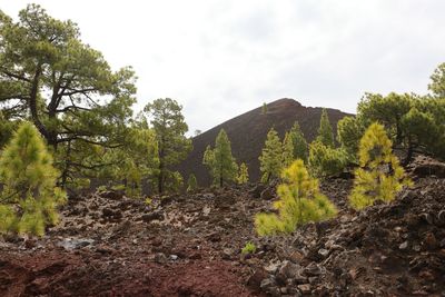 On the trail around the Montaa de Los Poleos