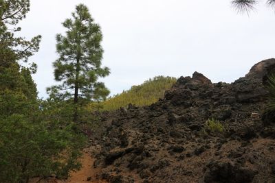 On the trail around the Montaa de Los Poleos