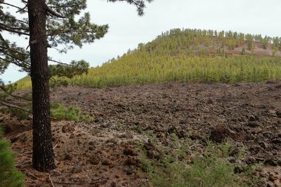 On the trail around the Montaa de Los Poleos