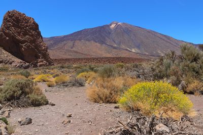 Teide - Canadas - Mirador de Jardina