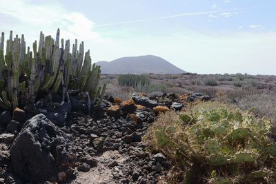 On the trail to La Rasca