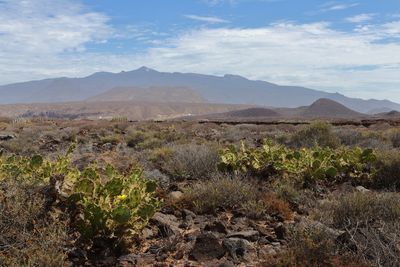 On the trail to La Rasca