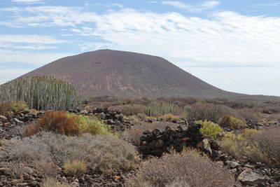 Roque de Rasca