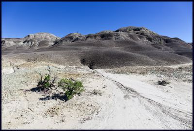 Georgia O'Keefe might recognize these black clay hills