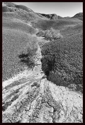 The perfect landscape for honing one's b&w processing chops