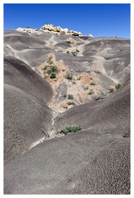 Colorful terrain