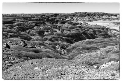 Sea of gray