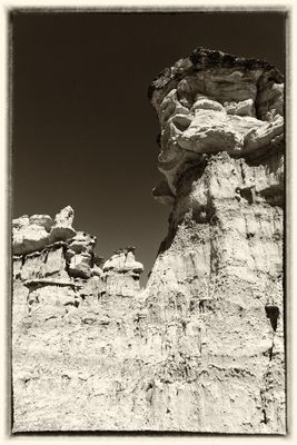 Sepia subject