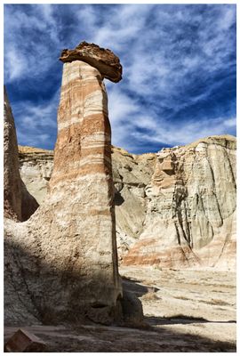 Zebra hoodoo