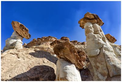 Hoodoo forest