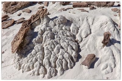 Flowstone still life