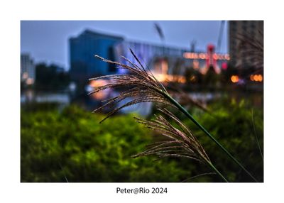 SLD00475.jpg