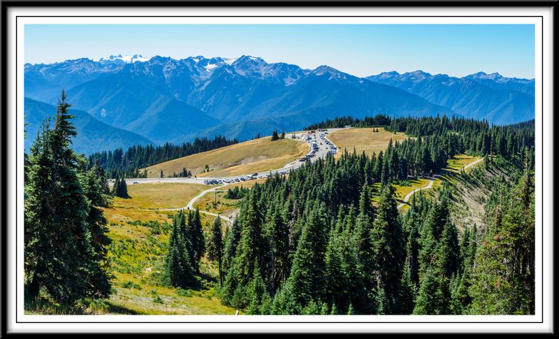 Hurricane Ridge and Mount Olympic