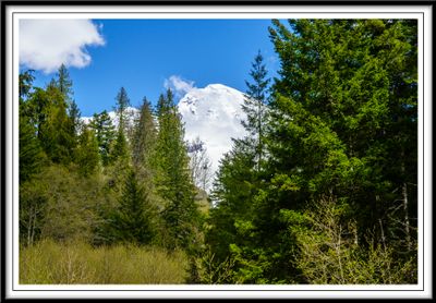 Mount Rainier in early May