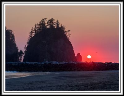 Olympic National Park