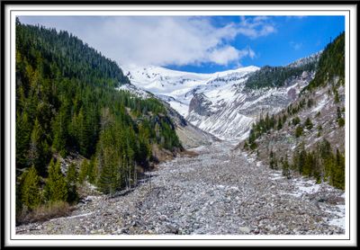 Nisqually River in May