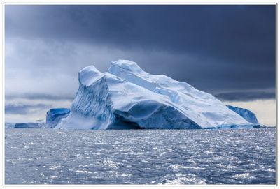 Penguins on an iceberg