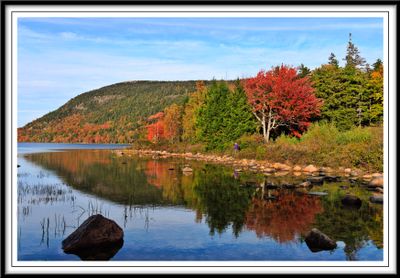 Fall Colors around Jordan Pond