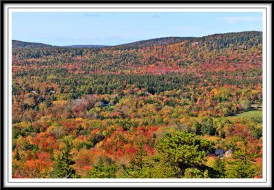 View from Gorham Mountain