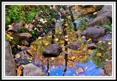 Reflection of Colors
