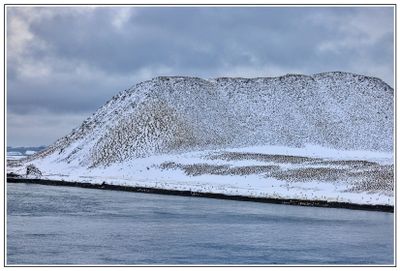 Thousands of Penguins