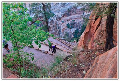 Switchbacks on Angels Landing Trail