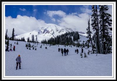 Mt. Rainier in Snow
