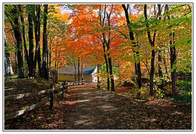 Colors of Fall