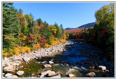 Pemigewasset River